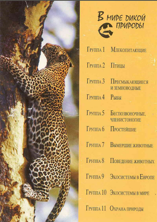 Знімок екрана 2024-01-25 231614.png