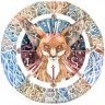 coolfox